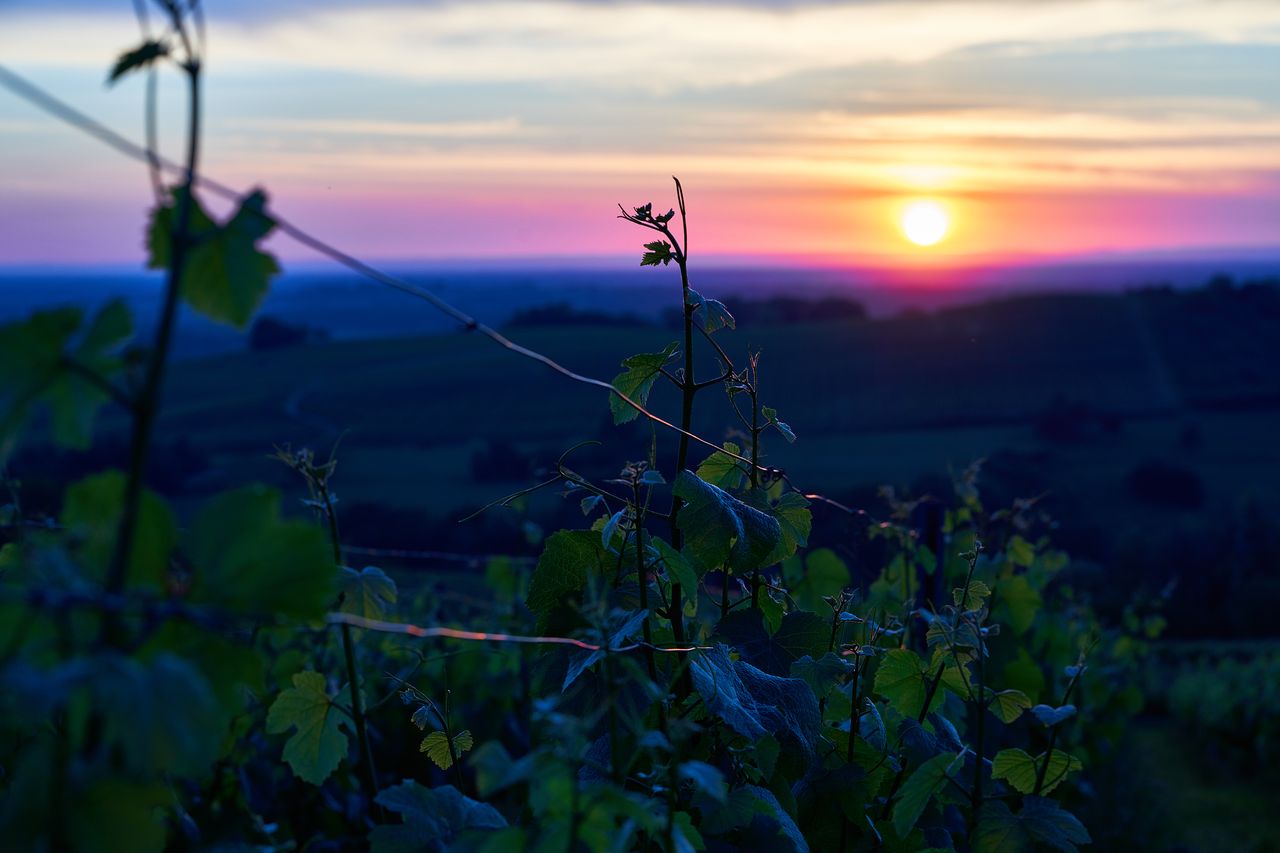 Paysage Couché de soleil 0227